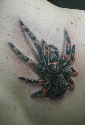 Tarantelspinne Tattoo am Rücken