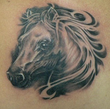 3d black and white horse tattoo