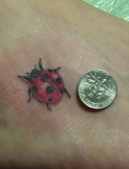 Little ladybug 3d