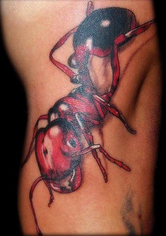 Tatuaje 3D hormiga roja