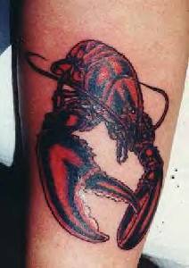 Red crayfish realistic  tattoo