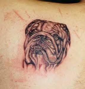 Muso di cane Bulldog tatuato