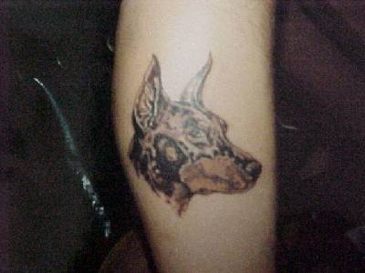Tatuaggio della testa de cane Dobermann sulla gamba