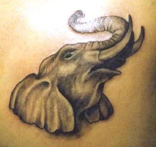 Super realistischer Elefant Tattoo