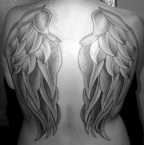 Wing tattoo with good feather getails