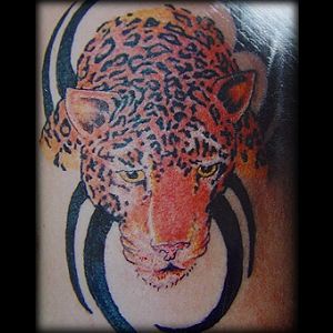 Realistic leopard tattoo in colour