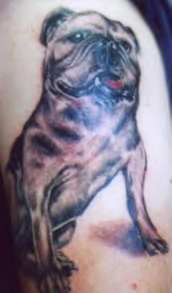 Bon chien le tatouage