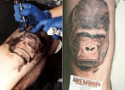 Super realistisches Gorillagesicht Tattoo im Fortschritt