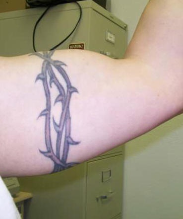 Tatuaje en brazo spineferous.