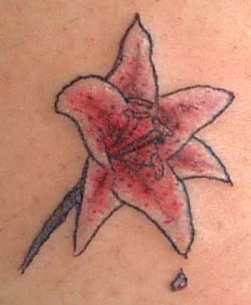 asiatico elegante fiore rosa tatuaggio