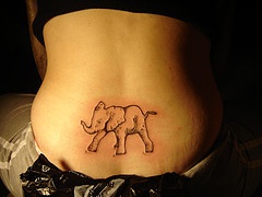 Carino elefante tatuato sulla shiena
