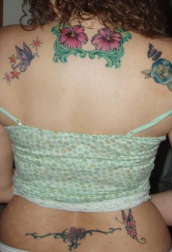 Tatuaggio colorato sulla schiena i fiori & le farfalle & le stelle