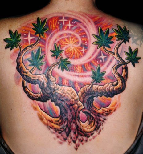 Tatuaggio colorato sulla schiena l&quotalbero con le foglie & i raggi di sole