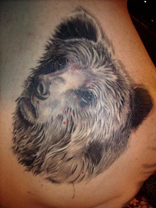 testa di orso realistico tatuaggio