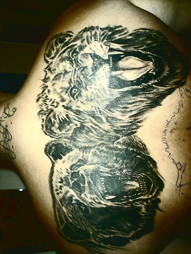 due realistico orso e leone rugiscono tatuaggio