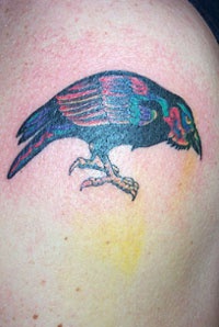 Colourful raven tattoo