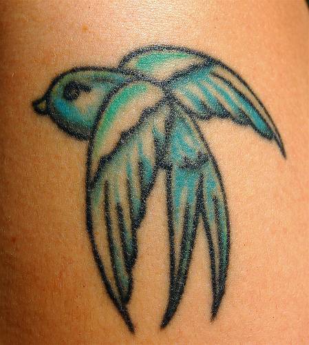 Tatuaggio colorato l&quotuccello azzurro