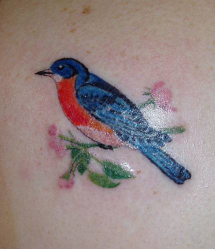 Tatuaje de ave azul brillante