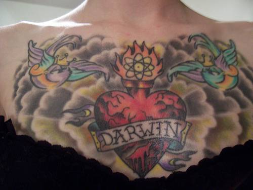 Tatuaggio grande sul petto gli uccelli & il cuore