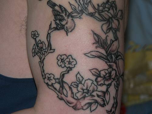 Tatuaggio sul braccio l&quotuccello sul ramoscello