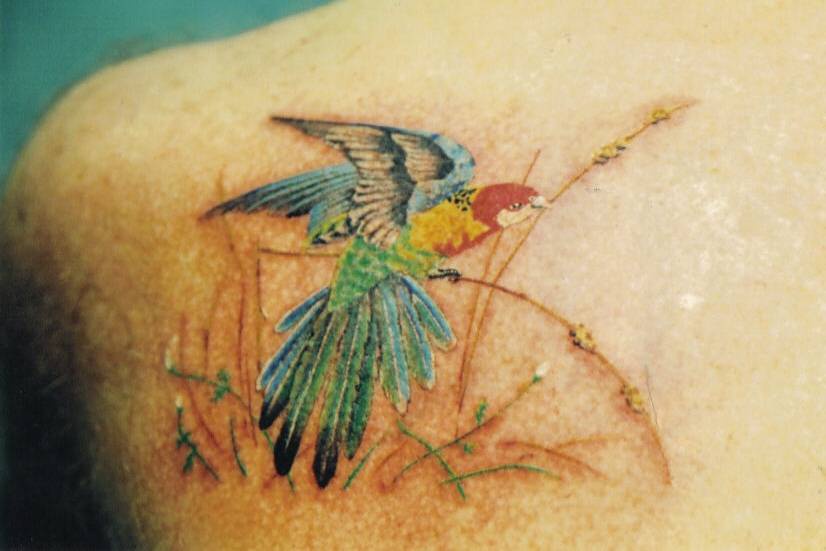 Tatuaggio incantevole sulla spalla l&quotuccello colorato