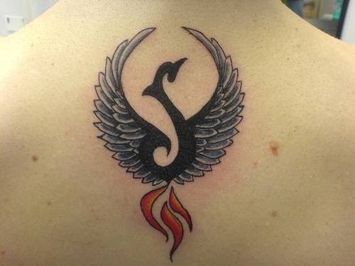 Tatuaggio sulla schiena il disegno un forma dell&quotuccello