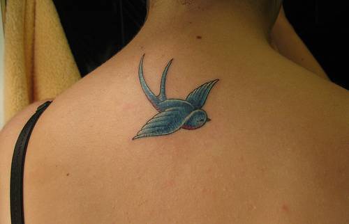 Blue bird tattoo on upper back