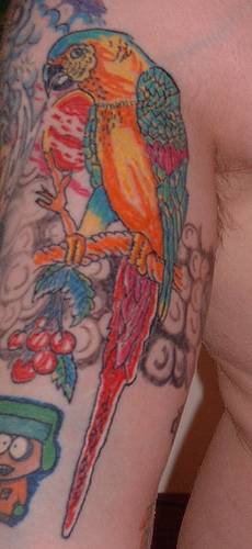Farbiges Tattoo mit Papagei