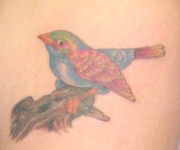 uccello realistico sul albero tatuaggio