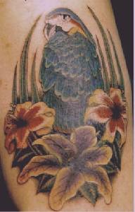pappagallo ara con fiori tatuaggio colorato