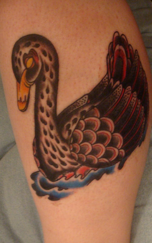 Leg tattoo, black swan swimming in water