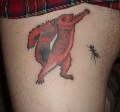 scoiattolo boxi ant tatuaggio