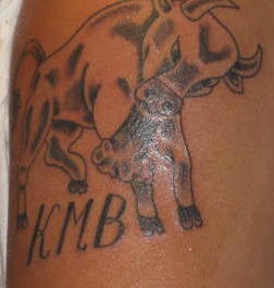 KMB toro esercito tatuaggio