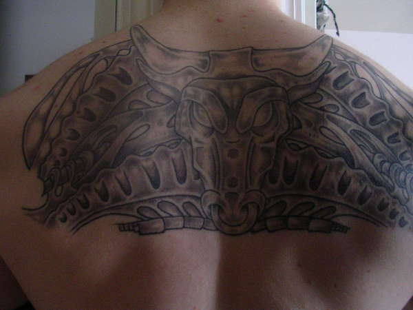 toro modello a tema tatuaggio sulla schiena