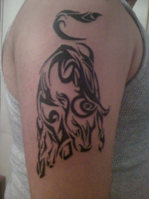 Tribal style bull black ink tattoo