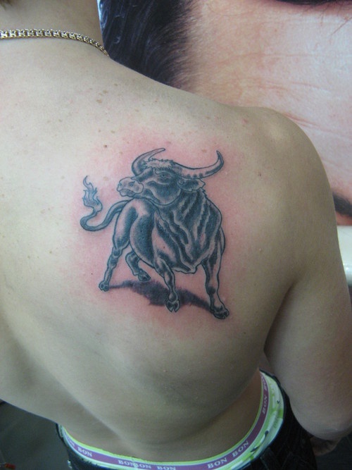 Realistic bull tattoo on shoulder