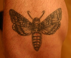 Large moth tattoo