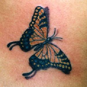 farfalla monarco tatuaggio con ombra
