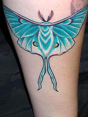 Blue moth tattoo on leg