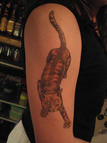 Wild cat tattoo in colour
