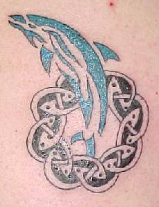 celtico stile delfino tatuaggio
