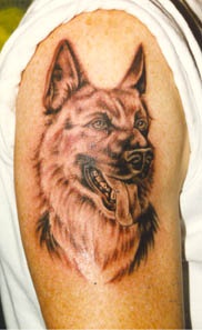 German shepherd tattoo on shoulder