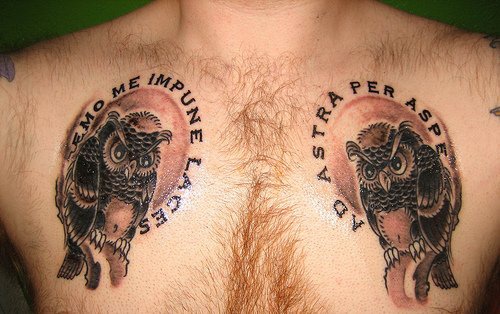 Due civette sagge tatuati sul petto