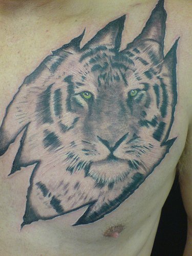 Tatuaje en el pecho, tigre con los ojos verdes