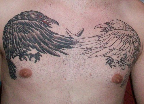 Tatuaje en el pecho, cuervos de colores negro y blanco, uno frente al otro