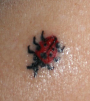 close up piccola coccinella tatuaggio