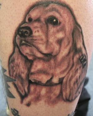 Le tatouage de cocker spaniel chien