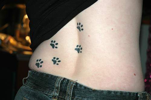 Cat paw prints on back tattoo