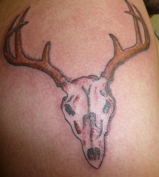 Le crâne de cerf tatouage coloré