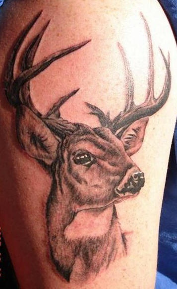 Tatuaje en blanco y negro de un majestuoso ciervo